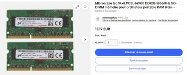 2024-08-10 Micron 2x4 Go DDR3L-1866 MHz 00.JPG