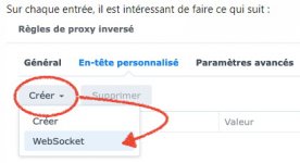 2-Paramétrage du reverse proxy-e.jpg